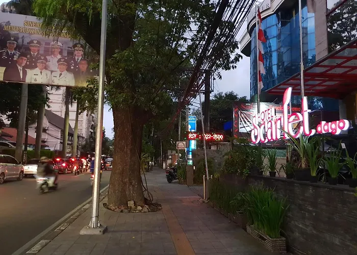 Luxury hotel only: Scarlet Dago Hotel
