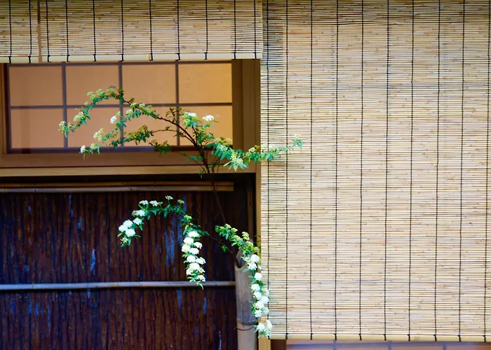 Mitsuki Kyoto