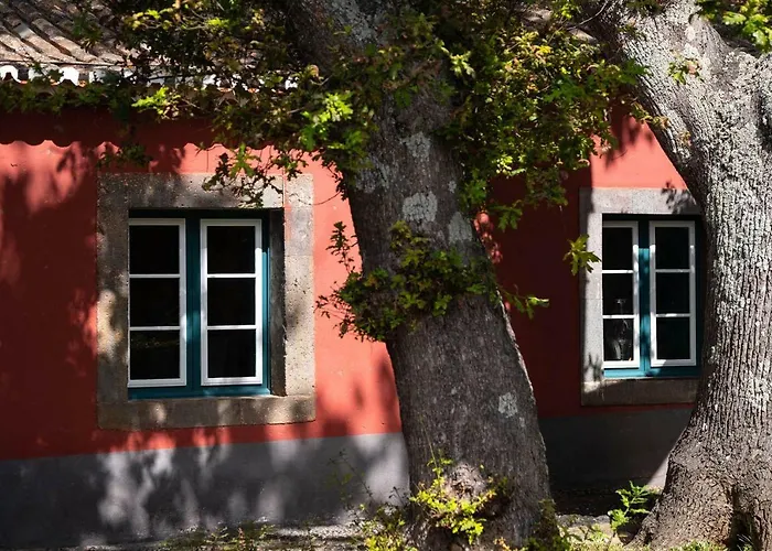 Quinta Das Vinhas