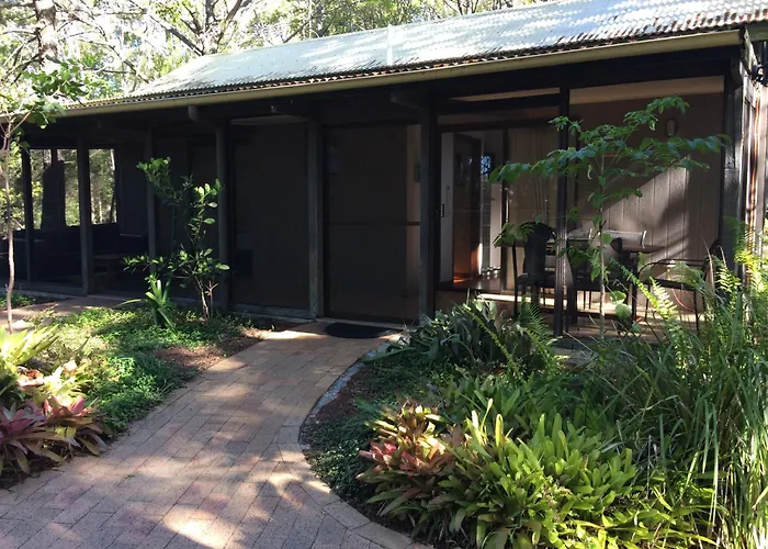 Byron Bay Rainforest
