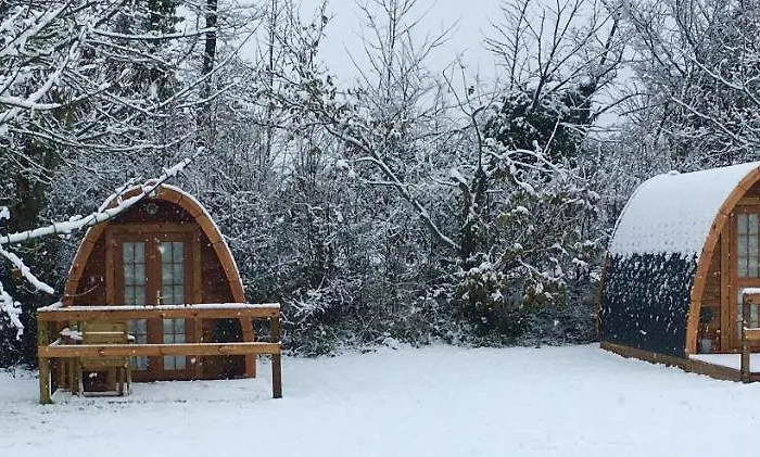 Glamping At Treegrove