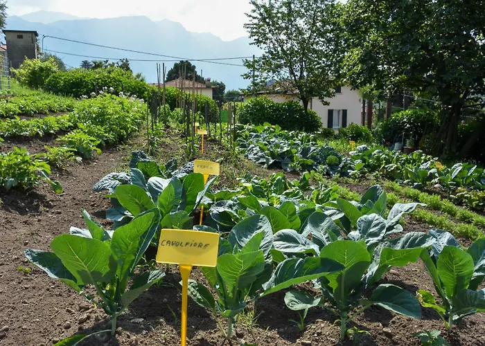 Agriturismo Il Colle